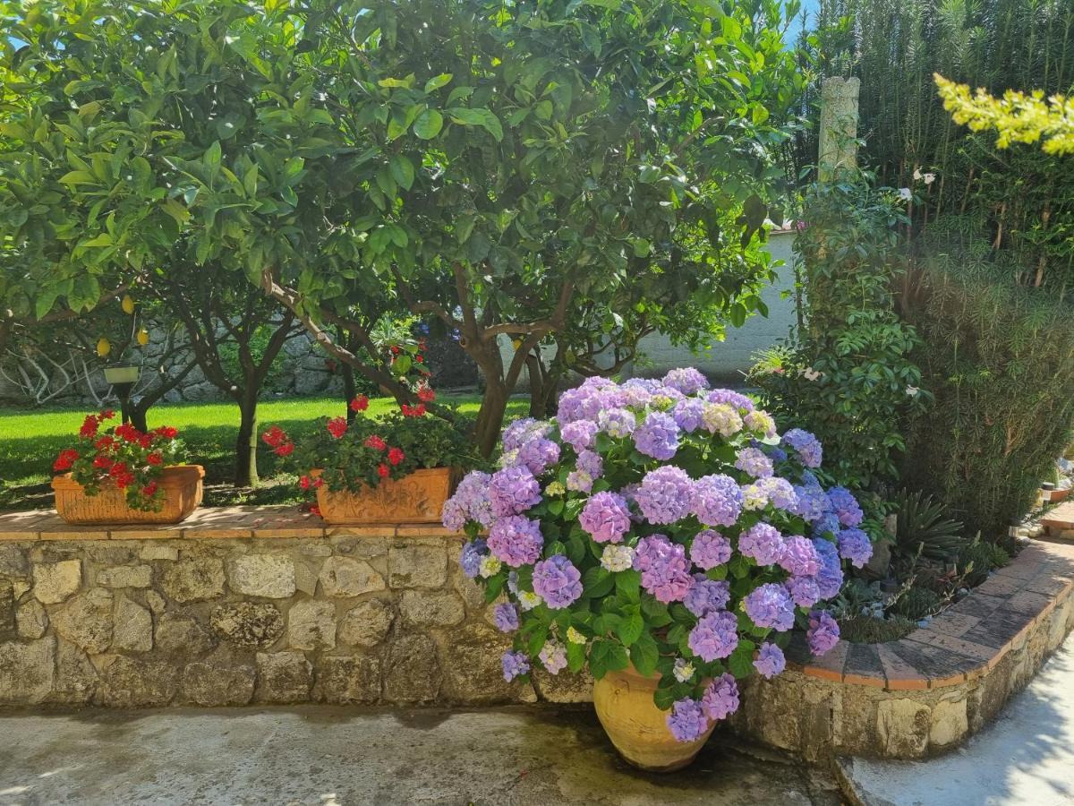 Il Ruscello Bed and Breakfast Maratea Buitenkant foto