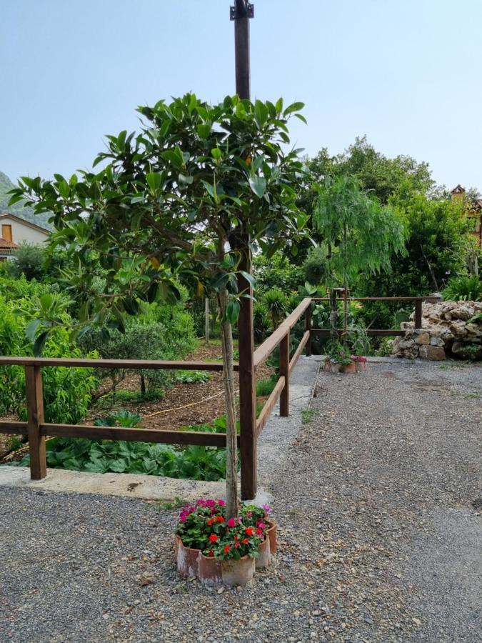Il Ruscello Bed and Breakfast Maratea Buitenkant foto