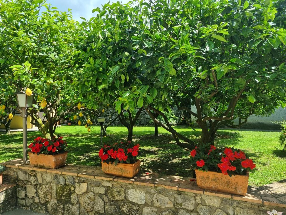 Il Ruscello Bed and Breakfast Maratea Buitenkant foto
