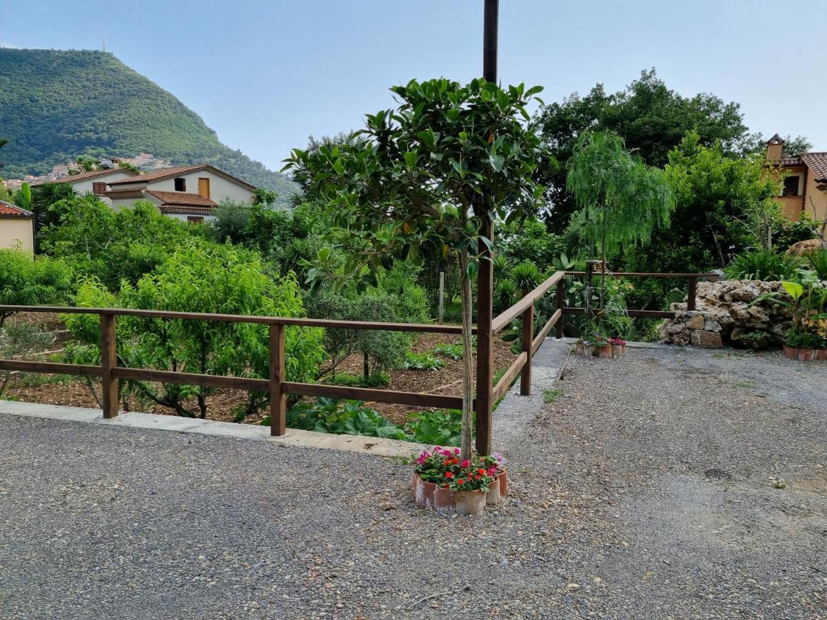 Il Ruscello Bed and Breakfast Maratea Buitenkant foto