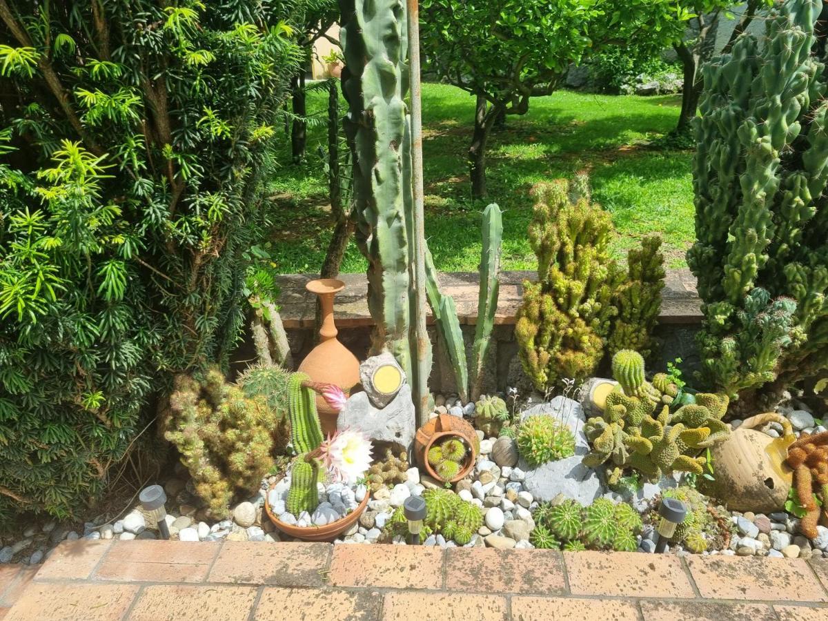 Il Ruscello Bed and Breakfast Maratea Buitenkant foto