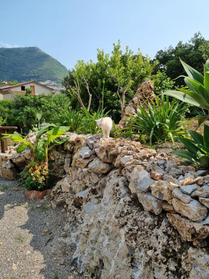 Il Ruscello Bed and Breakfast Maratea Buitenkant foto
