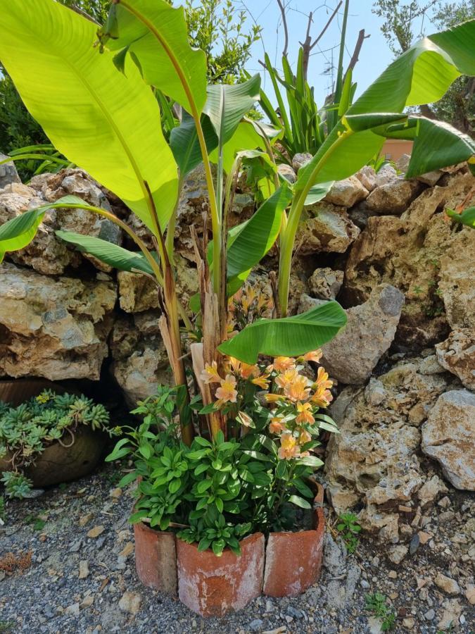 Il Ruscello Bed and Breakfast Maratea Buitenkant foto