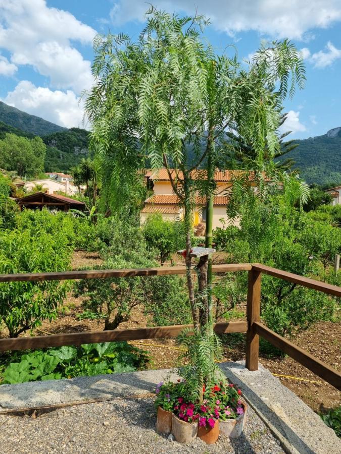 Il Ruscello Bed and Breakfast Maratea Buitenkant foto